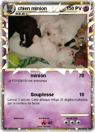 Pokemon chien minion