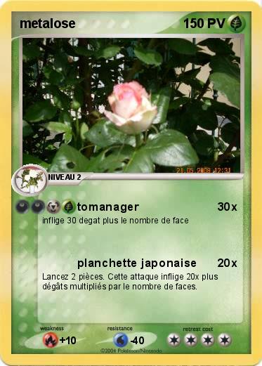 Pokemon metalose