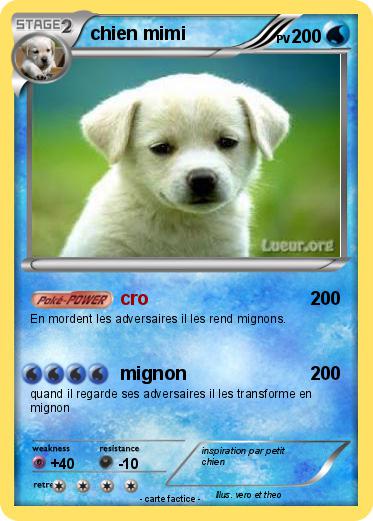 Pokemon Chien Mimi 5