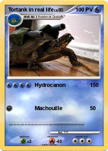 Pokemon Tortank in real life