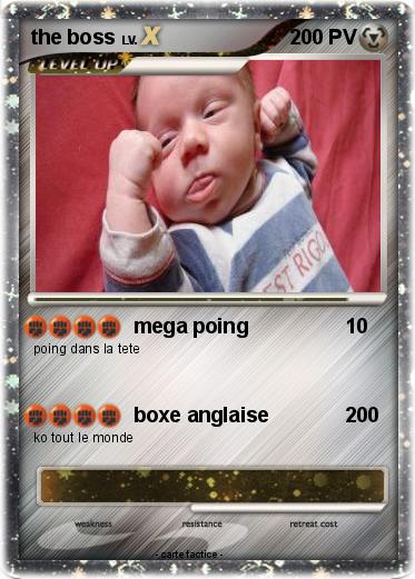 Pokemon the boss