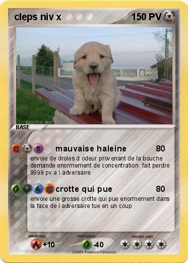 Pokemon cleps niv x