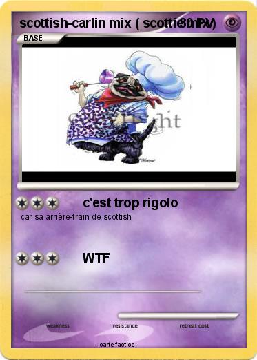 Pokemon scottish-carlin mix ( scottie mix )