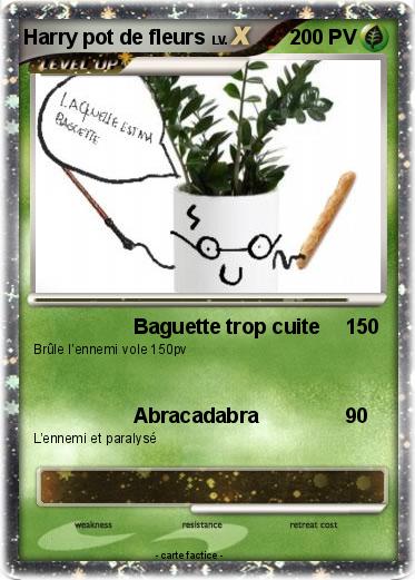 Pokemon Harry pot de fleurs