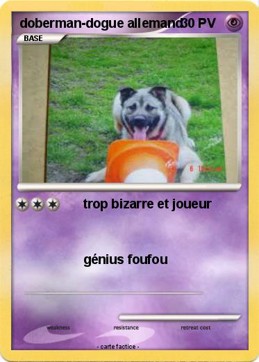Pokemon doberman-dogue allemand
