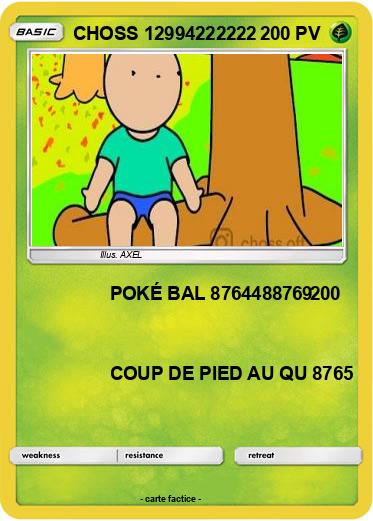 Pokemon CHOSS 12994222222