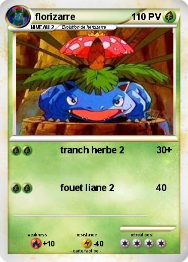 Pokemon florizarre