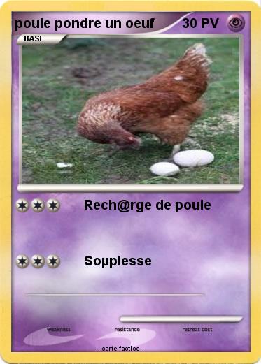 Pokemon poule pondre un oeuf