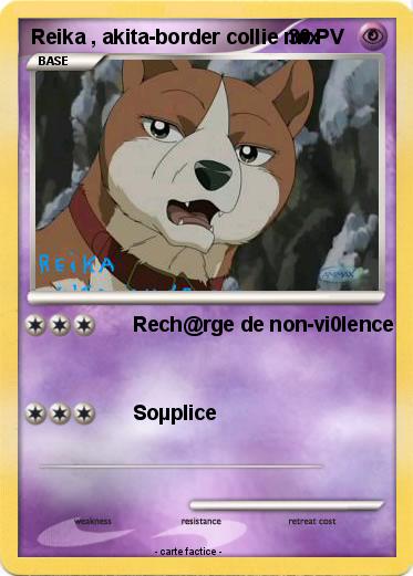 Pokemon Reika , akita-border collie mix