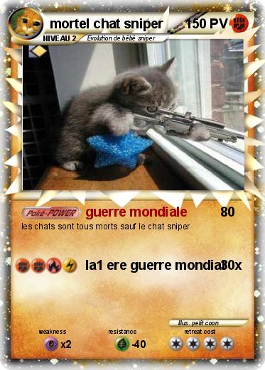 Pokemon mortel chat sniper