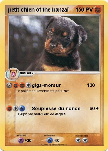 Pokemon petit chien of the banzaï