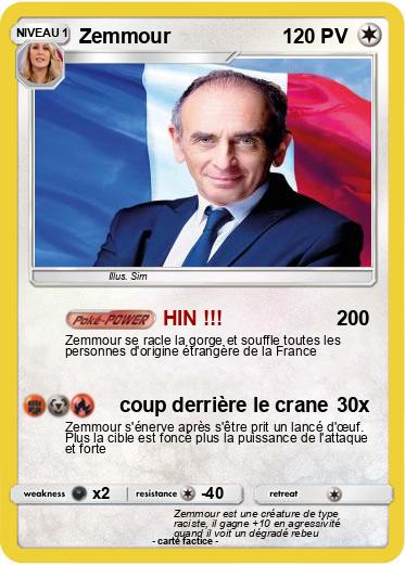 Pokemon Zemmour