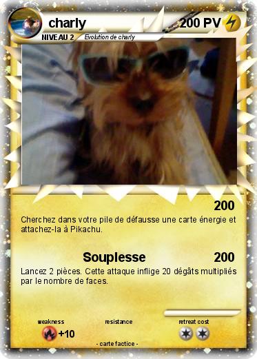 Pokemon charly