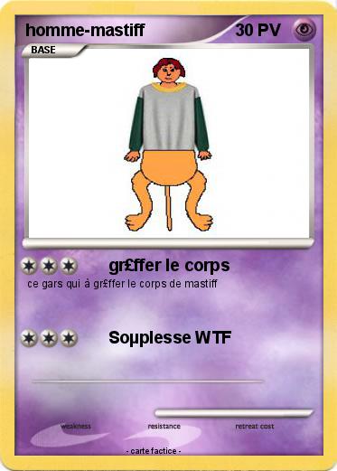 Pokemon homme-mastiff