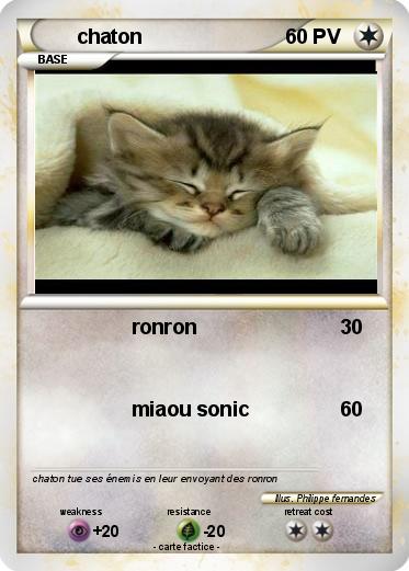 Pokemon chaton