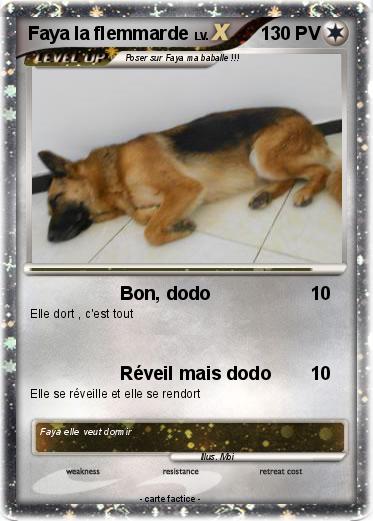 Pokemon Faya la flemmarde