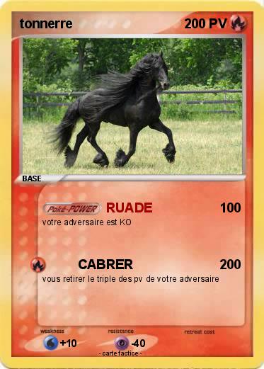 Pokemon tonnerre