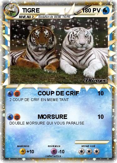 Pokemon TIGRE