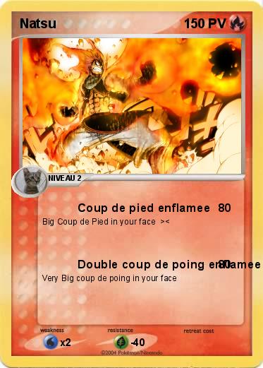 Pokemon Natsu
