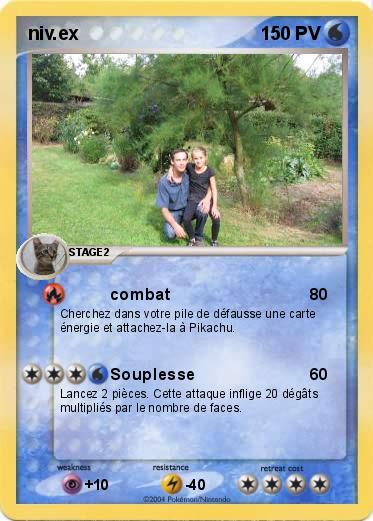 Pokemon niv.ex