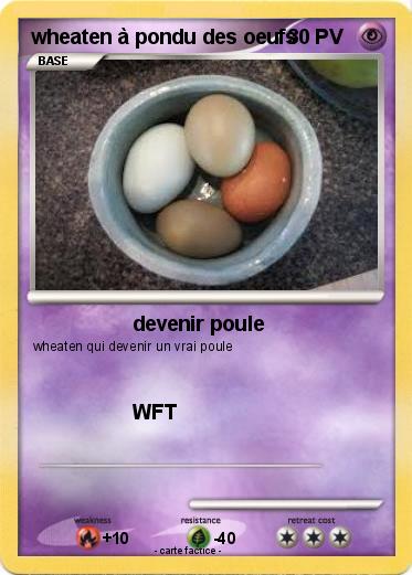 Pokemon wheaten à pondu des oeufs