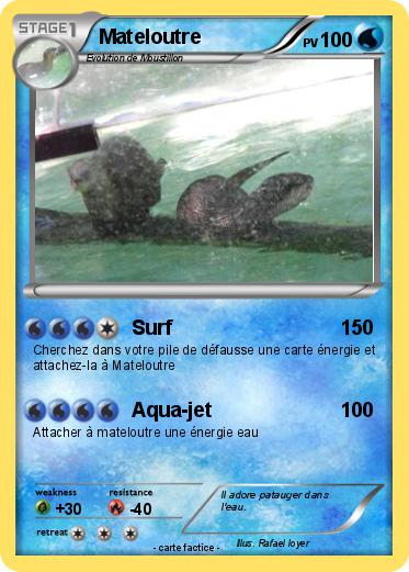 Pokemon Mateloutre