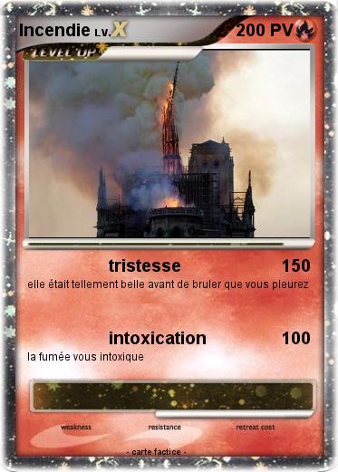 Pokemon Incendie