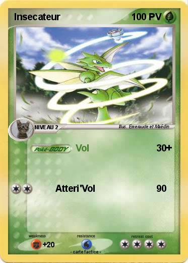 Pokemon Insecateur