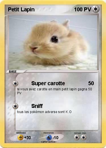 Pokemon Petit Lapin