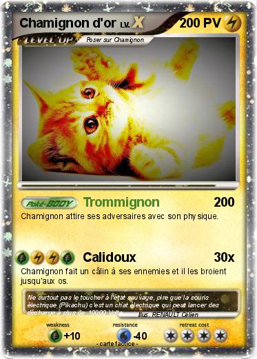 Pokemon Chamignon d'or