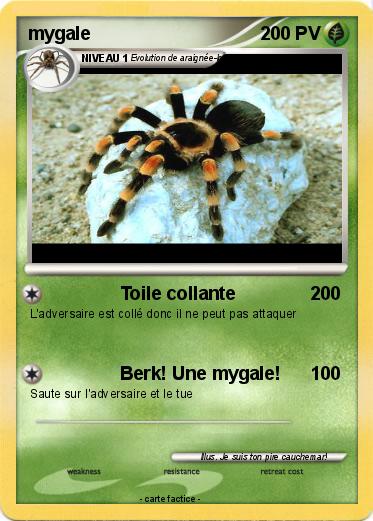 Pokemon mygale