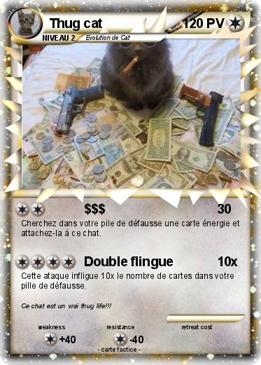Pokemon Thug cat