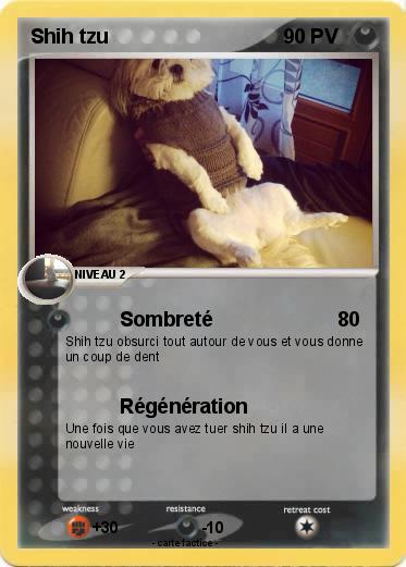 Pokemon Shih tzu