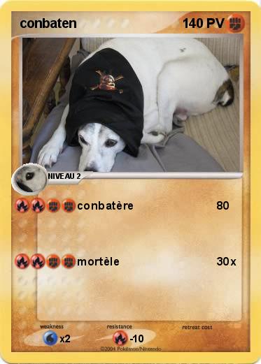 Pokemon conbaten