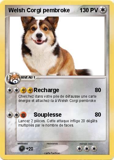 Pokemon Welsh Corgi pembroke