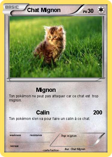 Pokemon Chat Mignon