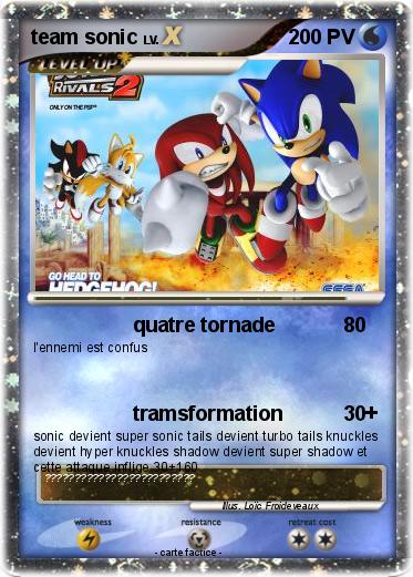 Pokemon team sonic