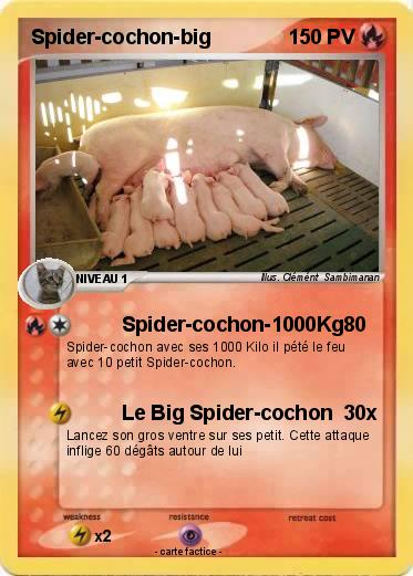 Pokemon Spider-cochon-big