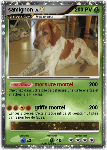 Pokemon samignon