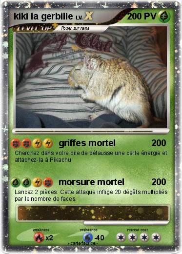 Pokemon kiki la gerbille