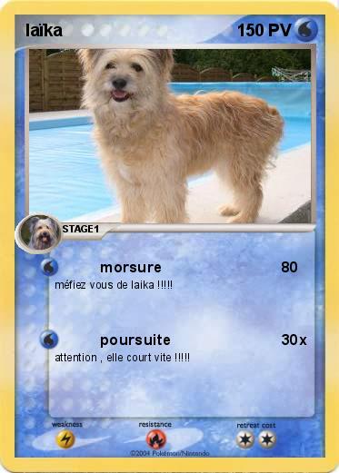Pokemon laïka