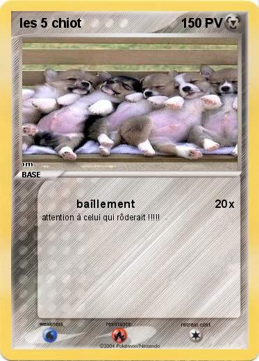 Pokemon les 5 chiot
