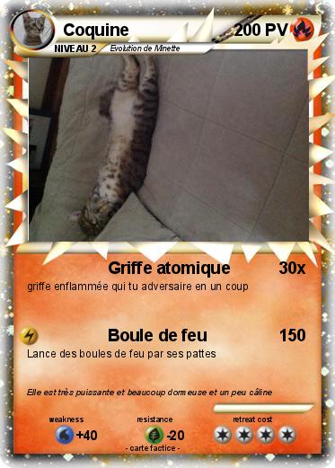 Pokemon Coquine