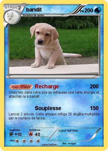 Pokemon bandit