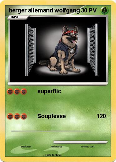 Pokemon berger allemand wolfgang