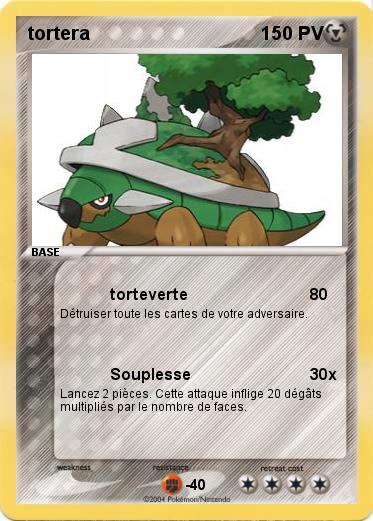 Pokemon tortera