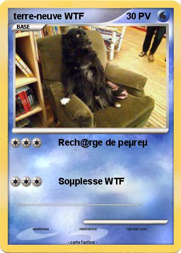 Pokemon terre-neuve WTF