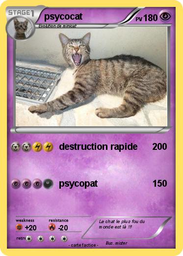 Pokemon psycocat
