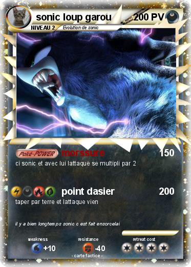 Pokemon sonic loup garou