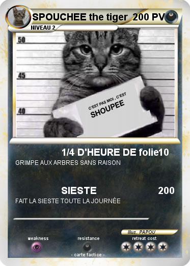 Pokemon SPOUCHEE the tiger